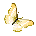 ButterflySZ