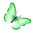 ButterflySZ