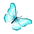 ButterflySZ