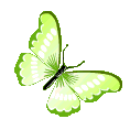 ButterflySZ