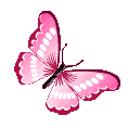 ButterflySZ