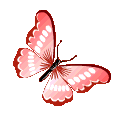 ButterflySZ