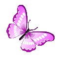 ButterflySZ