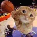slamdunk slamdunk