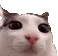 Plink
