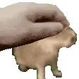 CapybaraPat