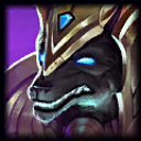 c_nasus