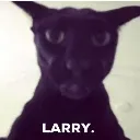 larry larry