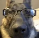 Screenshot_20250324170240
