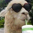 llama_coolin Discord emoji