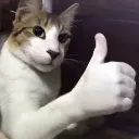 thumbs_up_but_not_fucked_up