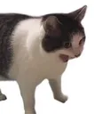 AAAHH