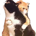 hug