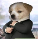 TamoElegante Discord emoji