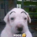 waos Discord emoji