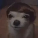 nerdie
