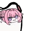 dorowhip