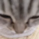 v_