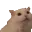 yaaaaap