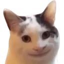 happycat