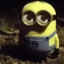 minion