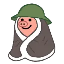 GBPig