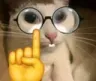 nerdCat nerdCat