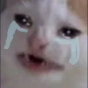 catcry
