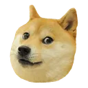 doge