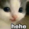 hehehe
