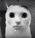 uhhhFDB Discord emoji