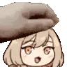 anisrub