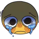 upset_cry