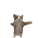 jumpy_yippee