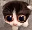 MONKA
