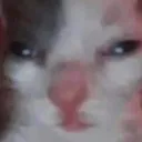 huhwug huhwug