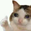 catalright