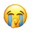 SaeN