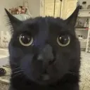 blankstare