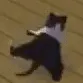 catdance