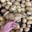 ipotatou