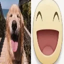 joyous