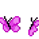 AscPurpButterfly