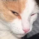 sideeye