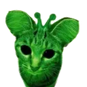 SillyGleeber SillyGleeber