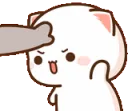 briifight
