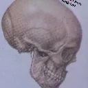 skull