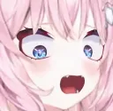 WaoVivi