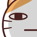 KittyStare