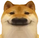 nose